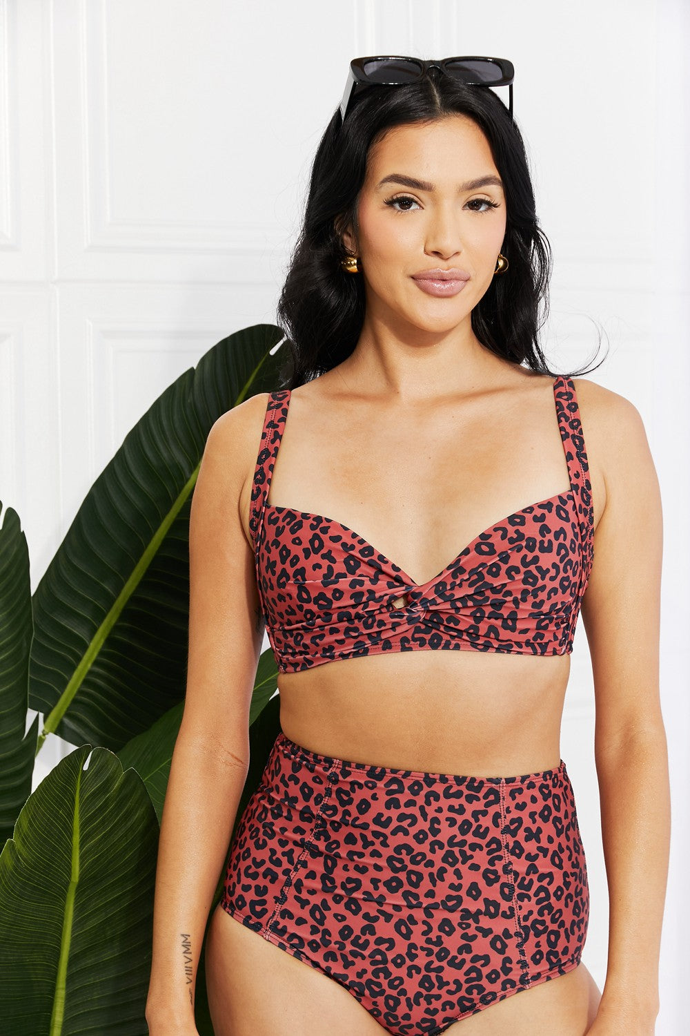 Take A Dip Plus Size Bikini