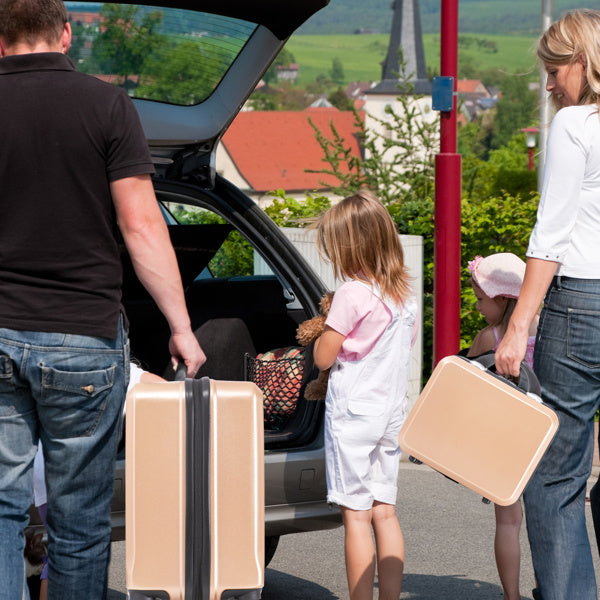 2 Piece Travel Luggage Set Hard shell Suitcase with Spinner Wheels 18''