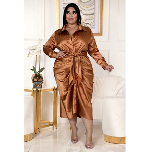 The Magnificent Diva Plus Size Dress